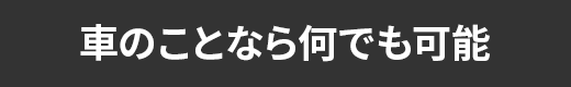 車のことなら何でも可能